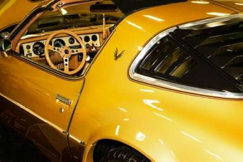 Gold Street Bird Poster Print by Alan Hausenflock - Item # VARPDXPSHSF1579