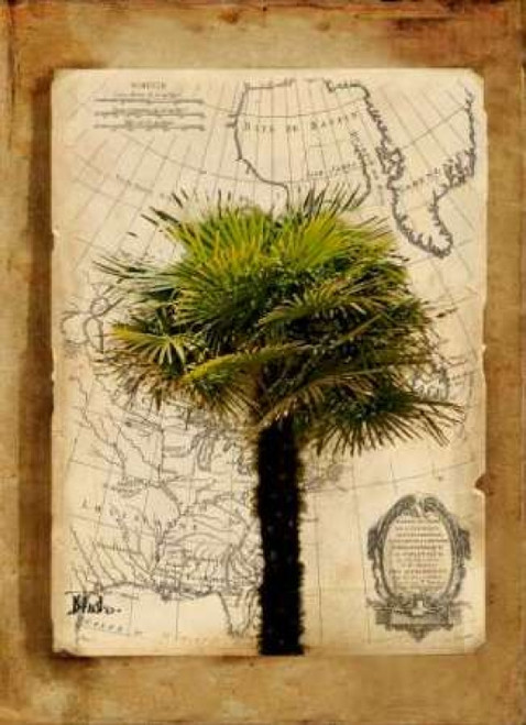 America I Poster Print by Patricia Pinto - Item # VARPDX7020
