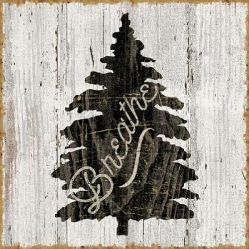 Lake Lodge X Neutral Poster Print by Sue Schlabach - Item # VARPDX23376