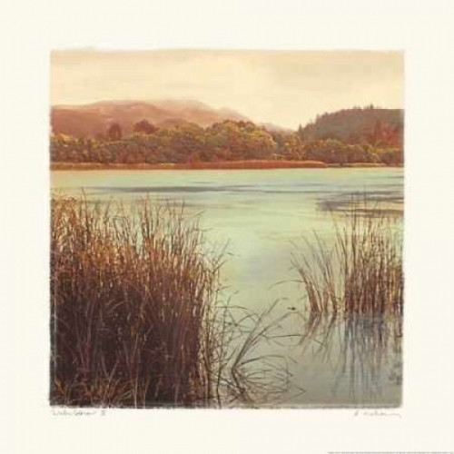 Water Colors II Poster Print by Amy Melious - Item # VARPDXMEL264