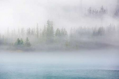 Alaska Fog II Poster Print by Kathy Mahan - Item # VARPDXPSMHN559