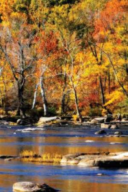 Autumn on the River I2 Poster Print by Alan Hausenflock - Item # VARPDXPSHSF574