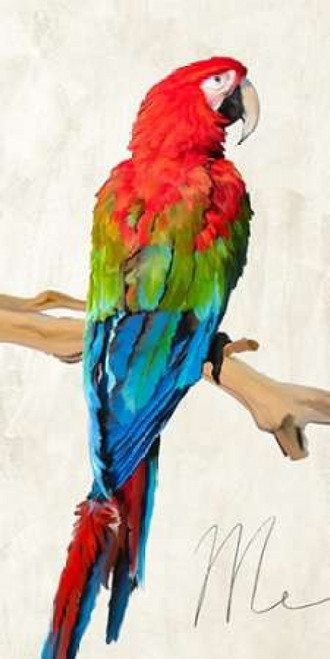 Me Poster Print by Teo Rizzardi - Item # VARPDX2TR1895