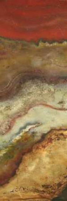 Tierra Panel II Poster Print by Patricia Pinto - Item # VARPDX6820