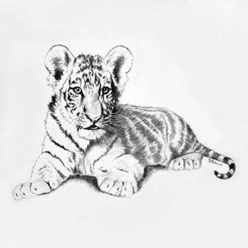 Tiger Poster Print by Vivien Rhyan - Item # VARPDX9717A