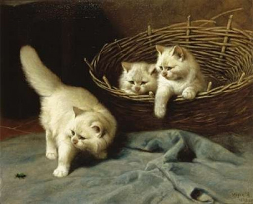 White Angora Kittens With a Beetle Poster Print by  Arthur Heyer - Item # VARPDX268097