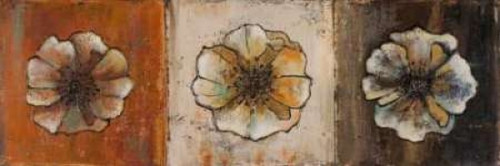 Celebration I Poster Print by Patricia Pinto - Item # VARPDX7070