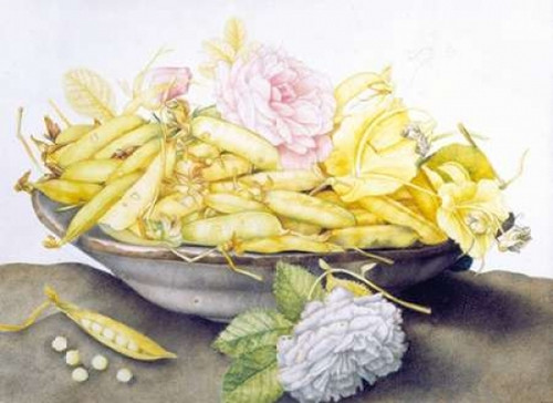 Bowl with Peas Poster Print by  Giovanna Garzoni - Item # VARPDXGG03