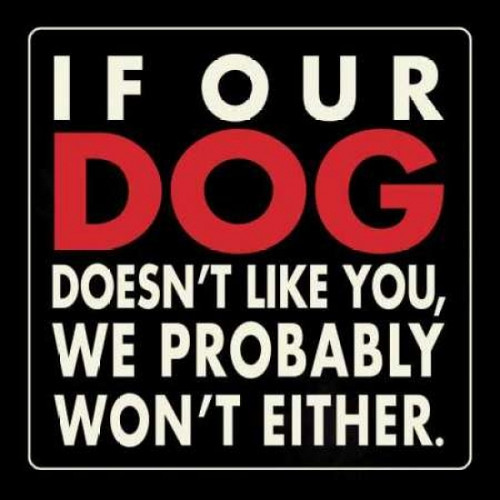 Our Dog Poster Print by Stephanie Marrott - Item # VARPDXSM10507