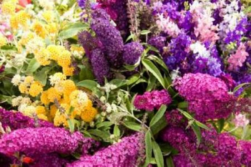 English Summer I Poster Print by Maureen Love - Item # VARPDXPSLOV166