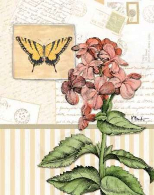 Botanical Collage I Poster Print by Paul Brent - Item # VARPDXBNT222