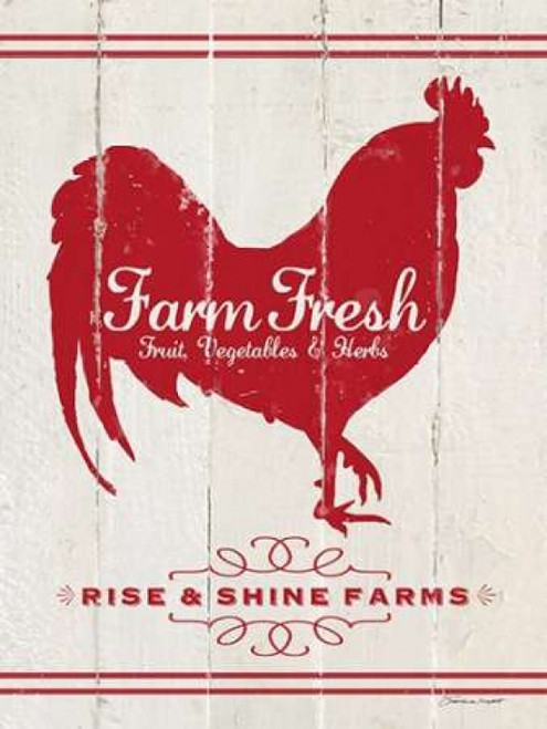 Rooster Poster Print by  Stephanie Marrott - Item # VARPDXSM10416