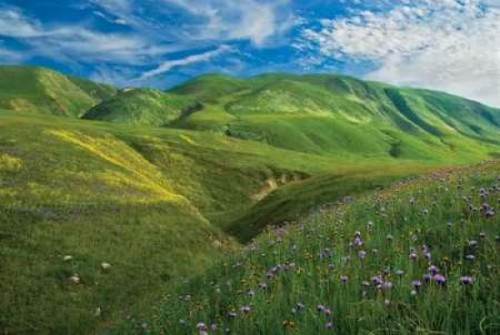 Wind Wolves Poster Print by Mark Geistweite - Item # VARPDXPSGWT104