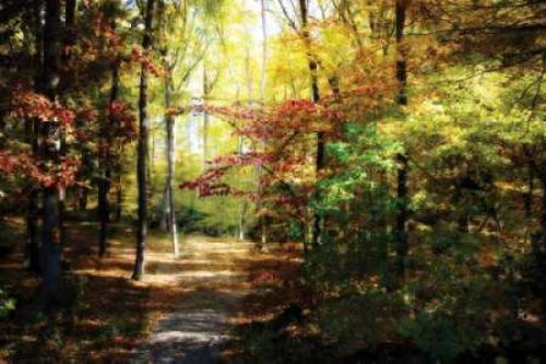 Hanover Wayside I Poster Print by Alan Hausenflock - Item # VARPDXPSHSF106