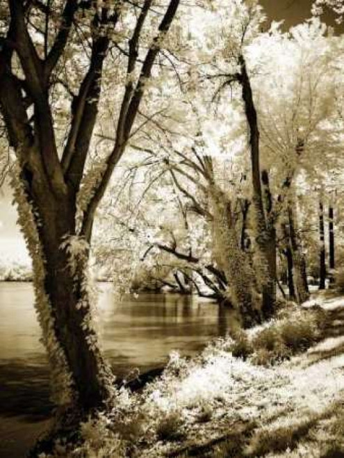 Spring on the River II Poster Print by Alan Hausenflock - Item # VARPDXPSHSF650