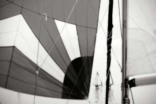 Downwind I Poster Print by Alan Hausenflock - Item # VARPDXPSHSF1139