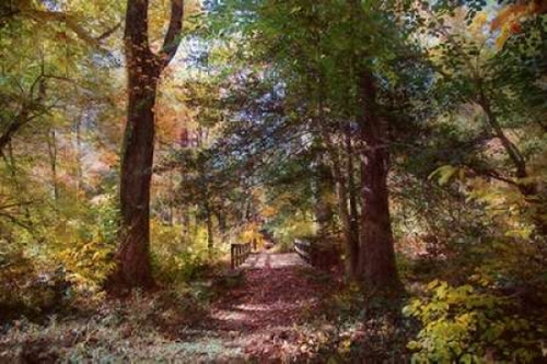 Berlin Park Poster Print by John Rivera - Item # VARPDXR1037D