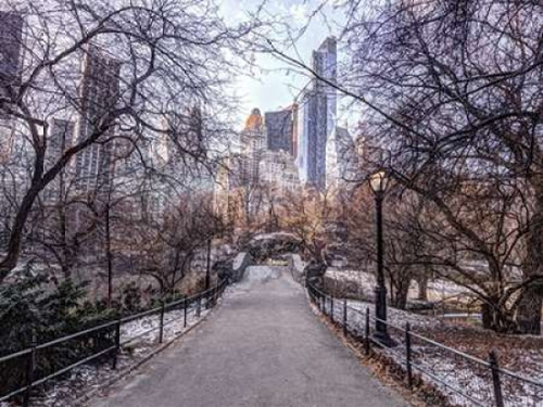 Pathway through Central park, New York Poster Print by  Assaf Frank - Item # VARPDXAF20160118905X
