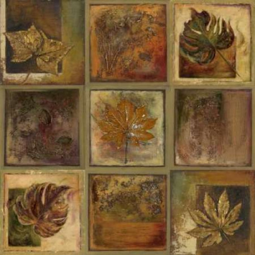 Leaf Square II Poster Print by Patricia Pinto - Item # VARPDX6302