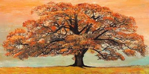 Oak Poster Print by Jan Eelder - Item # VARPDX2JE444