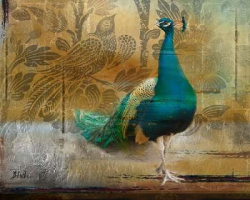 Feathered Dreams II Poster Print by Patricia Pinto - Item # VARPDX8734