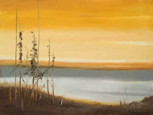 Early Morning II Poster Print by Nelly Arenas - Item # VARPDX7655