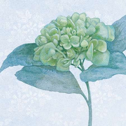 Blue Hydrangea II Poster Print by Beth Grove - Item # VARPDX21475