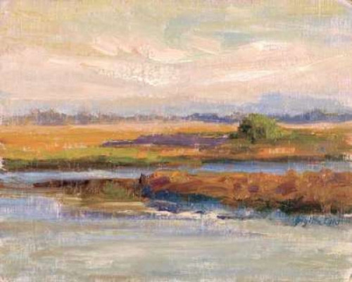 Jewels of the Wetlands Series One Poster Print by Brigitte Curt - Item # VARPDXCBP209G