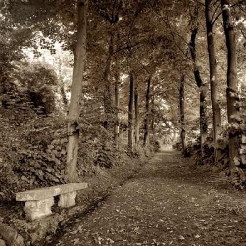 Fiesole Giardini - 2 Poster Print by Alan Blaustein - Item # VARPDXABIT1865