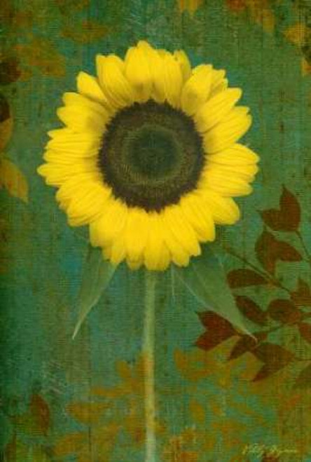 Sunflower Poster Print by Vitaly Geyman - Item # VARPDXPSVIT100