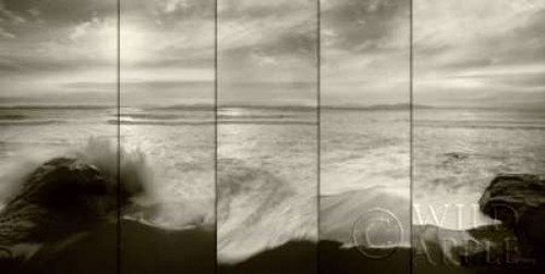 Tides and Waves Poster Print by Alan Majchrowicz - Item # VARPDX4359