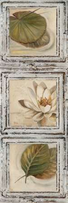 Flowers and Leaves IV Poster Print by Patricia Pinto - Item # VARPDX6486
