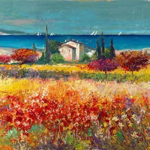 Sogno mediterraneo Poster Print by Luigi Florio - Item # VARPDX1LR1170