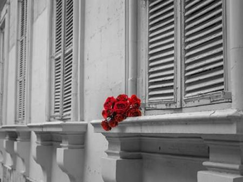 Bunch of roses on window of a house in Mdina, Malta Poster Print by  Assaf Frank - Item # VARPDXAF201505161587C01