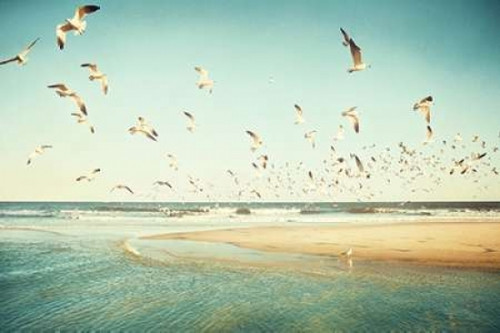 Freedom Poster Print by Carolyn Cochrane - Item # VARPDXC923D