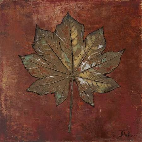 Maple I Poster Print by  Patricia Pinto - Item # VARPDX7322B