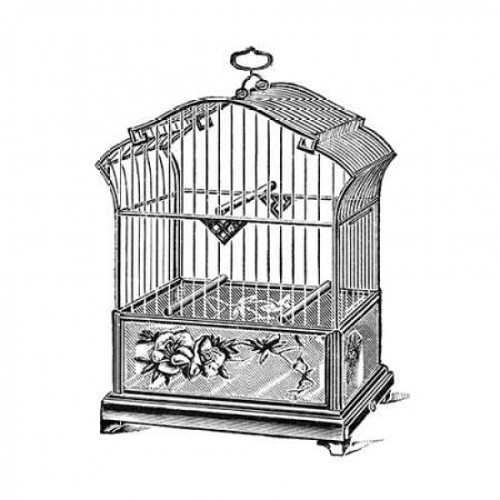 Etchings: Birdcage - Gable top rose base. Poster Print by Catalog Illustration - Item # VARPDX454827