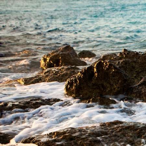 On the Rocks I Poster Print by Susan Bryant - Item # VARPDX8667C