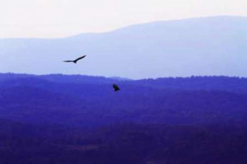 Blue Ridge III Poster Print by Alan Hausenflock - Item # VARPDXPSHSF777
