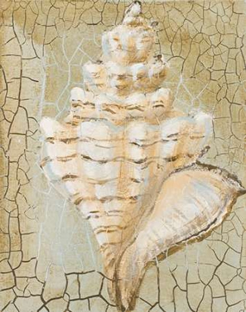 Seashell I Poster Print by  Hakimipour-Ritter - Item # VARPDX7829A