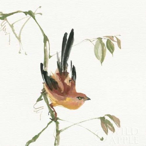 Mountain Bush Warbler Poster Print by  Chris Paschke - Item # VARPDX23941