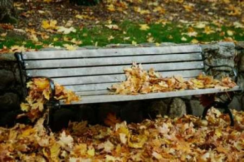 Autumn Paradise II Poster Print by Vitaly Geyman - Item # VARPDXPSVIT400