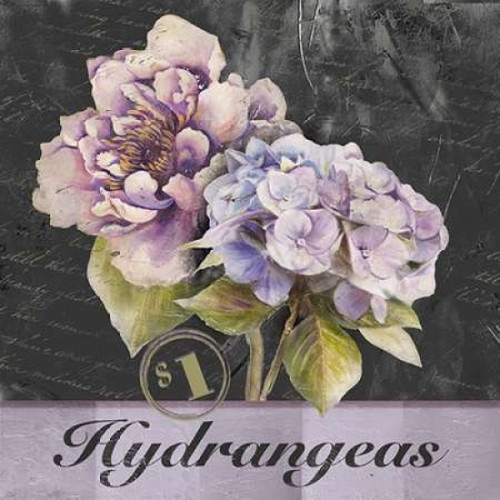 Flower Shop II Poster Print by Patricia Pinto - Item # VARPDX8601F