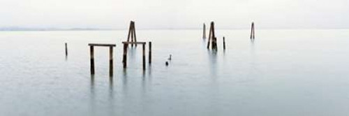 Antique Pier - 134 Poster Print by Alan Blaustein