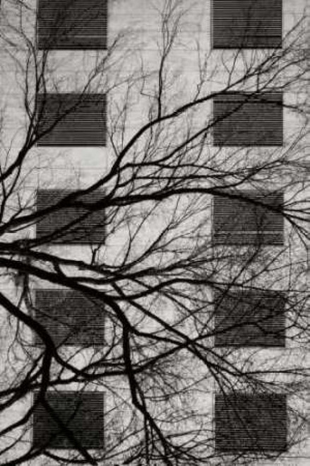 Cityscape II Poster Print by Geyman Vitaly - Item # VARPDXPSVIT482