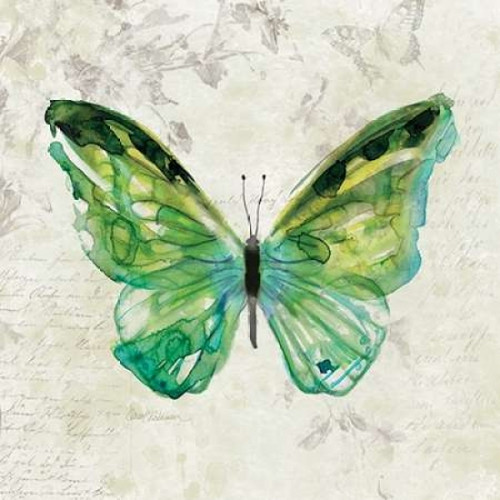 Butterfly Sketch Poster Print by  Carol Robinson - Item # VARPDX17398