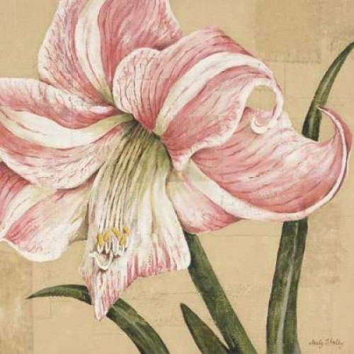 Blooming Wonder II Poster Print by Judy Shelby