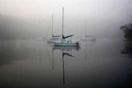 In the Fog Poster Print by Tammy Putman - Item # VARPDXPSPTM199