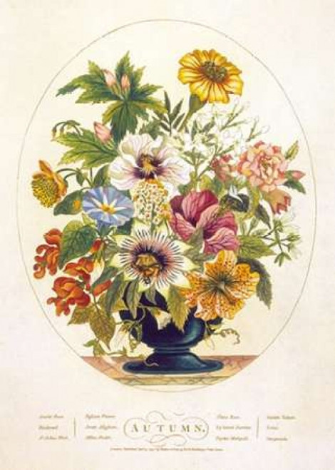 Autumn Poster Print by  Charles OBrien - Item # VARPDXCB03