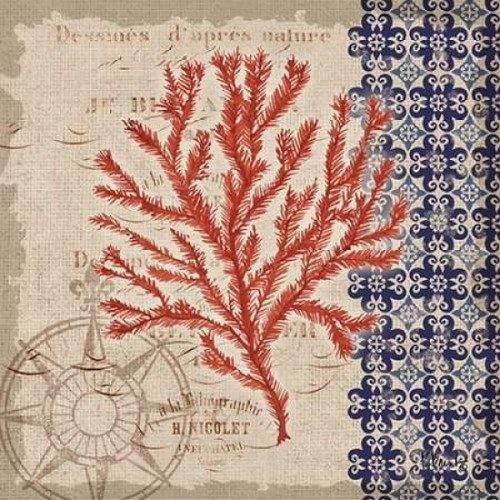 Burlap Coral II Poster Print by Paul Brent - Item # VARPDXBNT708